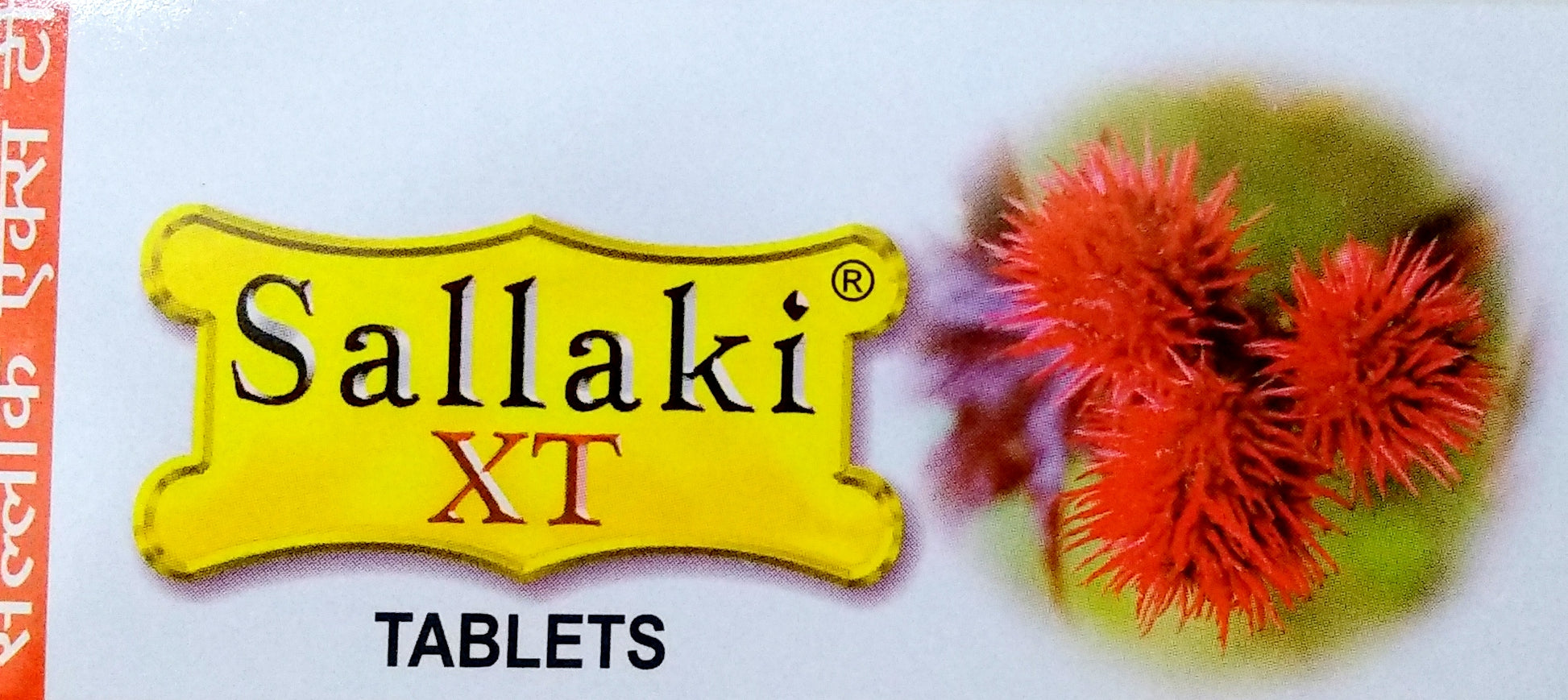 Shop Sallaki XT 10Tablets at price 105.00 from Gufic Online - Ayush Care